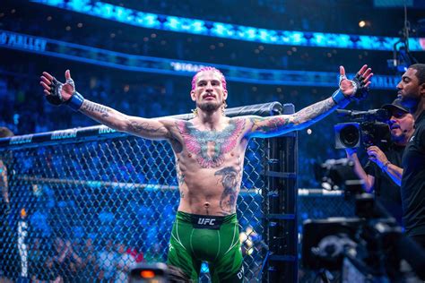 sean o malley salary|UFC 292 salaries: How much did Sean OMalley,。